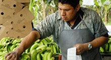 fair-trade