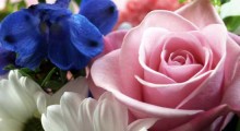 mother-day-gift-guide