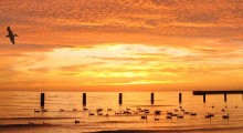 sunrise