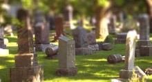 graceland-1
