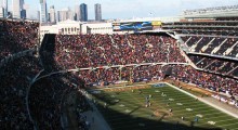 bears-preview