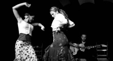 flamenco-faculty