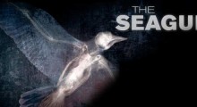 the-seagull