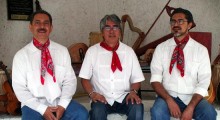 trio-ollin