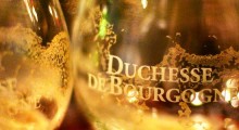 duchesse-de-bourgogne
