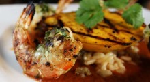 mango-enchilada-sauce-with-grilled-shrimp