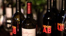 gozamos-wine-1
