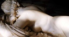 hermaphroditus
