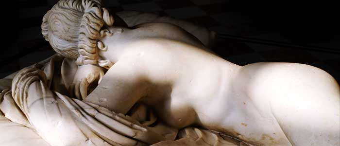hermaphroditus
