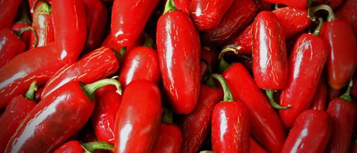 red-chilli