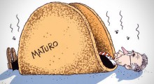 maturo-taco