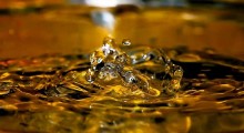 scotch